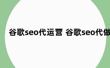 谷歌seo代运营 谷歌seo代做